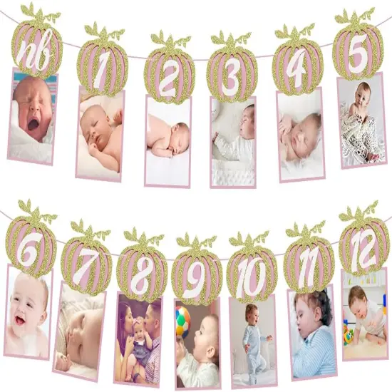 Pumpkin 1st Birthday Photo Banner, Glitter Pumpkin -12 Month Photo Display for Pumpkin {1}