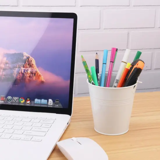 25 Pack 4 Inch White Iron Pail, {4}