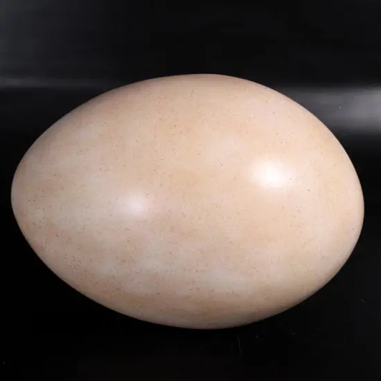 Large Sauropod Dinosaur Egg Life Size Statue {6}