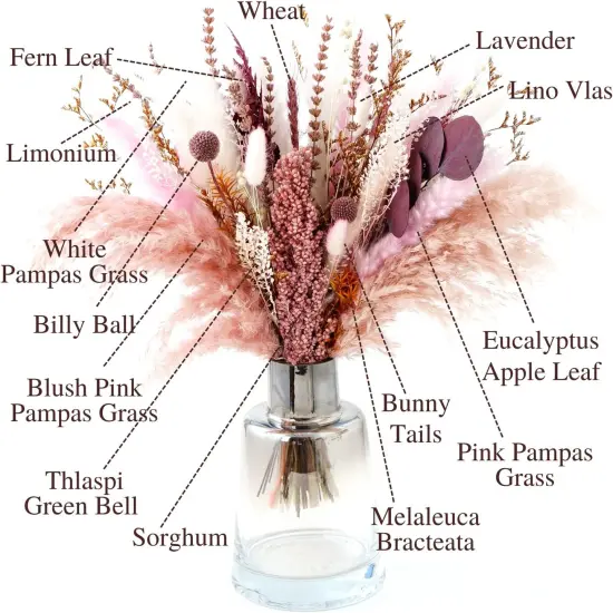 Natural Dried Pampas Grass Bouquet |17 Inch Blush Pink Pampas Grass Fall Pompas Eucalyptus Bundle Florals Decor Preserved Plants Flower Arrangement for Home Wedding {4}