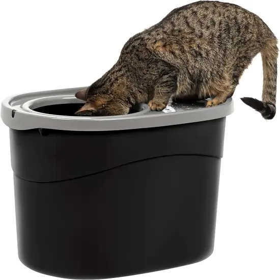 IRIS USA Oval Top Entry Cat Litter Box with Litter Catching Lid, Privacy Walls and Scoop Black/Gray {1}