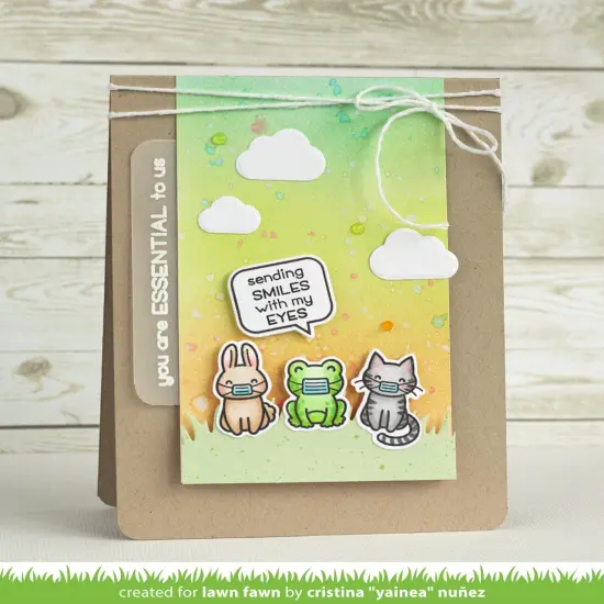 Lawn Fawn Clear Stamps 3"X4"-Say What? Masked Critters {5}