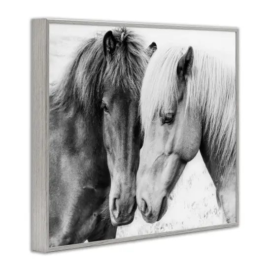 Stupell Industries Horse Love Duo Portrait Framed Giclee Art Gray Frame {3}