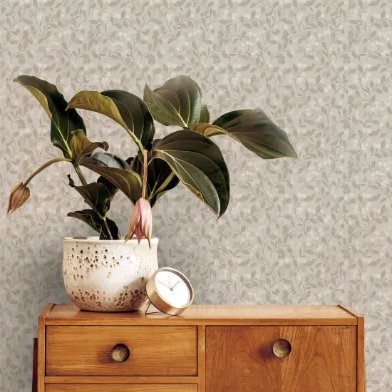 Transform Snowbelle Natural Peel & Stick Wallpaper {4}