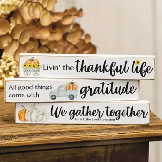 Fall-Themed Mini Wooden Word Blocks with Black Text and Rustic Distressed White Paint 3 Asstd. {2}