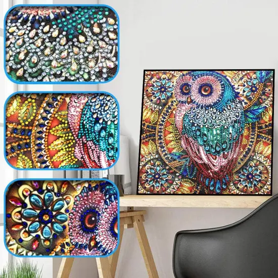 Owl Diamond Art Painting Kits for Adults {2}