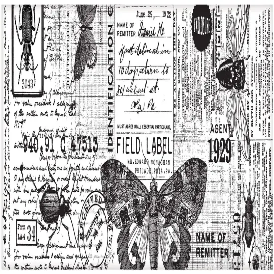 Idea-Ology Collage Paper 6"X6yds-Entomology {3}