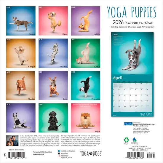 Yoga Puppies OFFICIAL | 2026 12 x 24 Inch (Hanging) Monthly Square Wall Calendar {2}