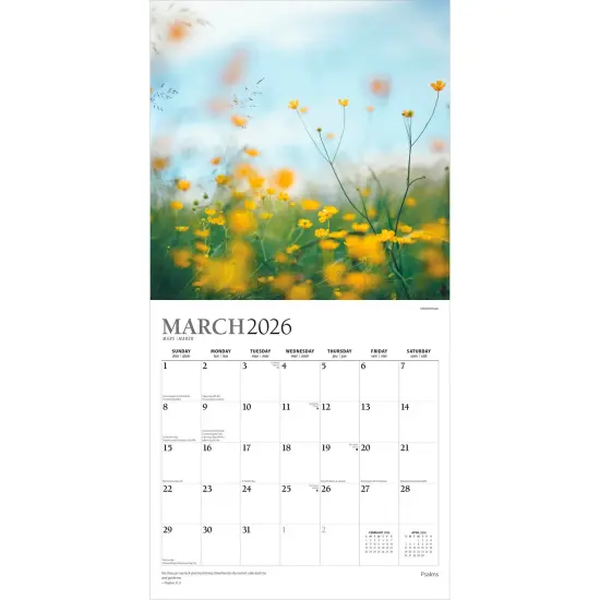 Psalms | 2026 12 x 24 Inch (Hanging) Monthly Square Wall Calendar | Foil Stamped Cover {3}