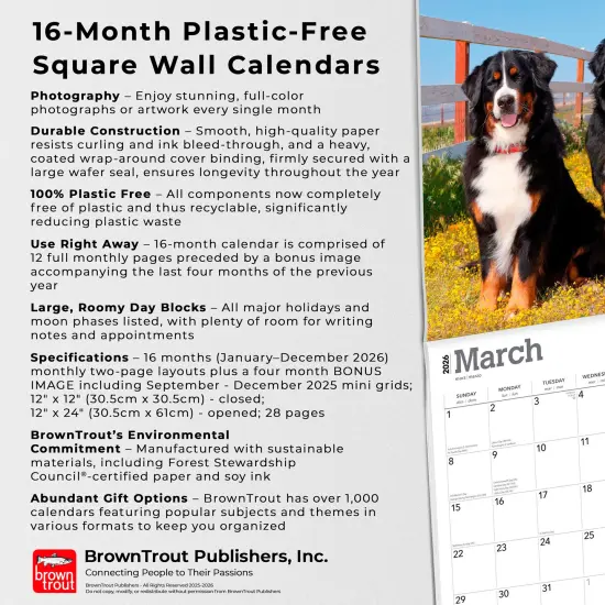 Bernese Mountain Dogs | 2026 12 x 24 Inch (Hanging) Monthly Square Wall Calendar | Plastic-Free {6}