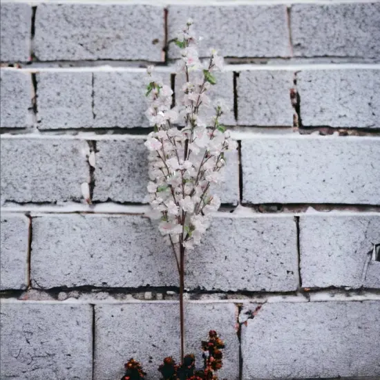 Cherry Blossom Branch Spray 52" - 3 PACK {4}