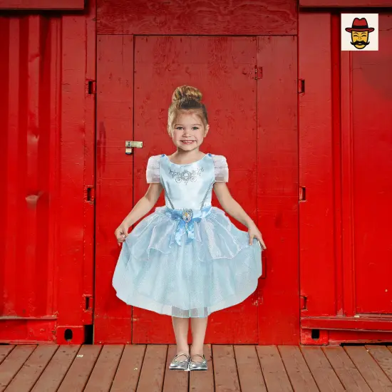 Girls Disney Cinderella Costume Blue Satin Dress Tulle Skirt Character Cameo {2}