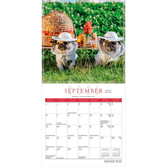 Fantasy Pugs OFFICIAL | 2026 7 x 14 Inch (Hanging) Monthly Mini Wall Calendar {4}