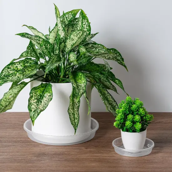 6 Pack 14 Inch Plastic Plant Trays {2}