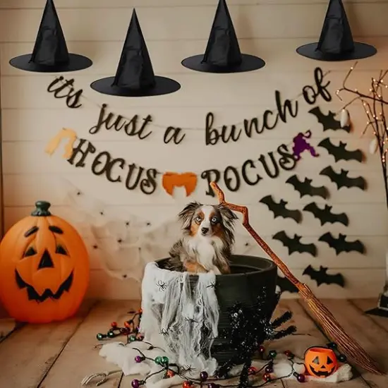 6PCS Halloween Witch Hats {4}