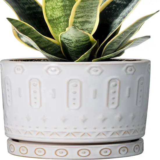 6 Inch Ceramic Planter with Drainage Holes and Saucer (White) {1}
