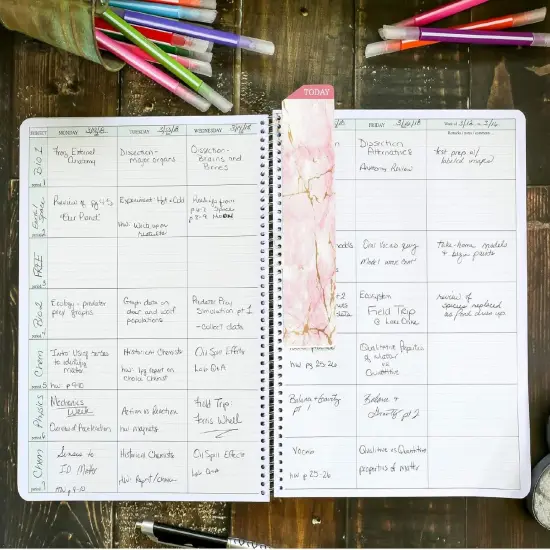 Hardcover Combination Plan and Record Book(Pink Marble) {2}