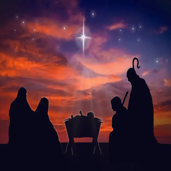 Large Boxed Christmas Card Assortment- Peace and Joy - 24 cards and envelopes {4}