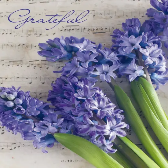 Thank You - Heartfelt Thanks {6}