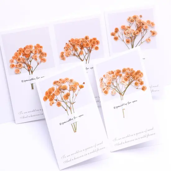 30 Pcs Orange Small Dried Babys Breath Flowers {3}