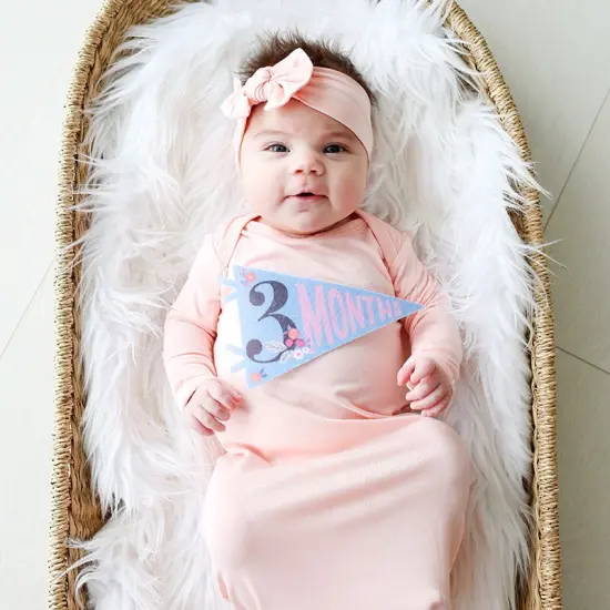 LITTLE ARTIST PETIT MILESTONE PENNANTS {5}