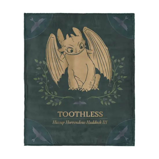 Universal How to Train Your Dragon Silk Touch Throw Blanket Hiccup and Toothless {1}
