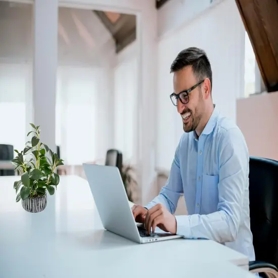 Artificial Plants Decor Greenery Fake Succulents Indoor Potted Fake Plant with Rustic Black Clay Planter for Farmhouse Room Bathroom Bedroom Kitchen Office Table Desk Decor {3}