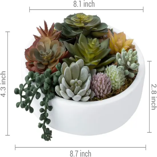 8 Inch Round Modern Artificial Succulent Arrangement Potted in White Concrete Plant Bowl, Assorted Faux Mini Succulents in a Decorative Planter Pot {5}