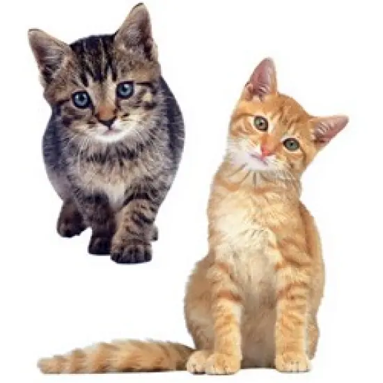 Decorative Stickers - Animals Bargain Bundle {4}