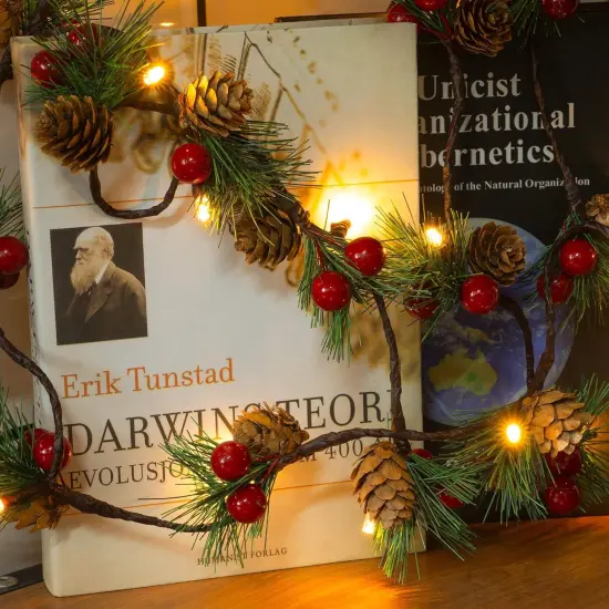 Christmas PineCones String Lights {4}