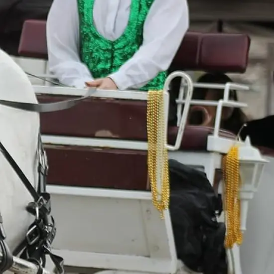 4E's Novelty 72 Pack Gold Beads Necklaces Bulk for St Patricks Day Beads Mecklace, Mardi Gras Beads, Great for Pirate Themed Party Supplies, Gatsby Roaring 20's 1920s Accessories Favors {4}