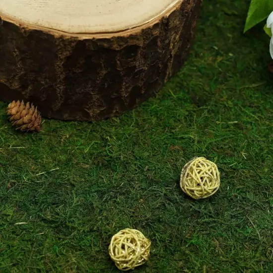 50 grams Green Natural Reindeer Moss Vase Fillers Wedding Party Decorations {4}