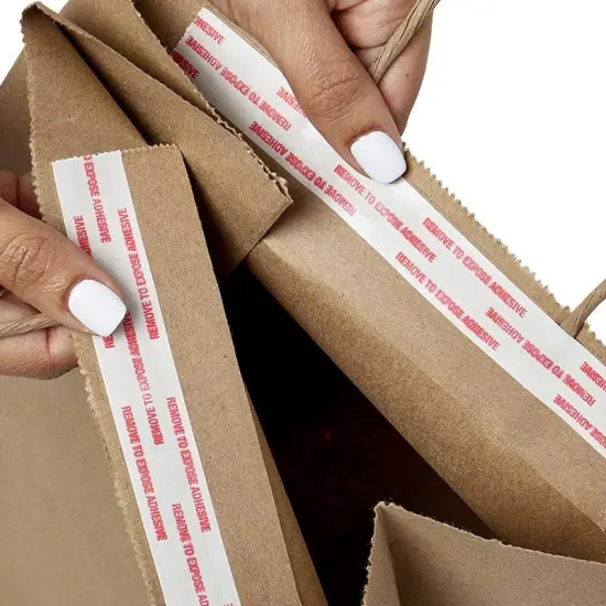 Tamper-Resistant Take-Out Shopping Bags Standard 10" x 6 3/4" x 12" {6}