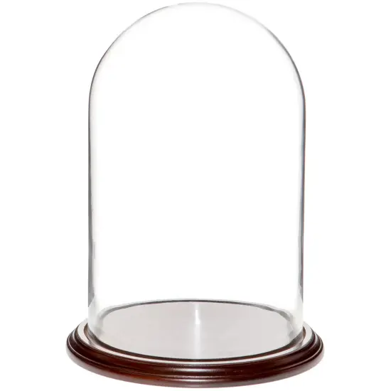 Plymor 9.75" x 15" Glass Display Dome Cloche Dark Mahogany Veneer {1}