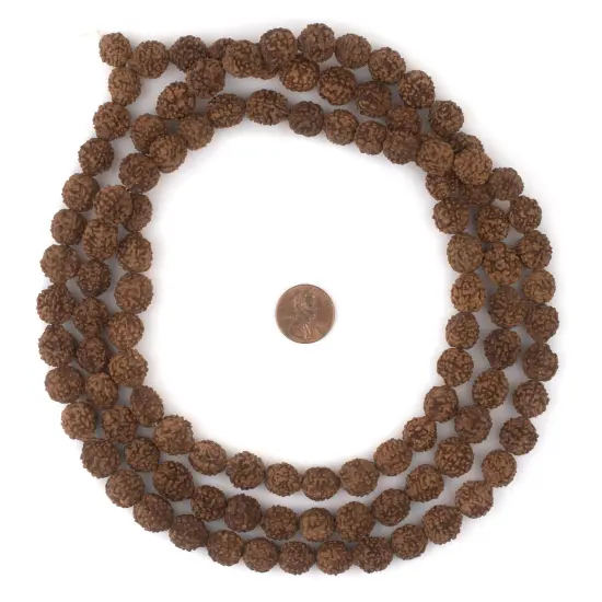 The Bead Chest 12mm Rudraksha Mala Beads - 108 Authentic Nepali Prayer Rosary Beads {2}