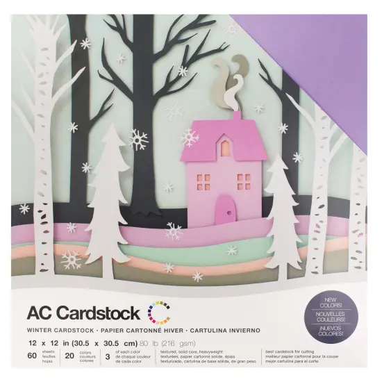 American Crafts Variety Cardstock Pack 12"X12" 60/Pkg-Winter {1}