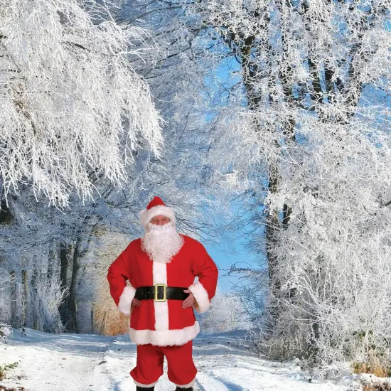 10 Piece Set Complete Santa Suit, Plush Coat, Pants, Hat, Belt, Gloves and Beard {1}