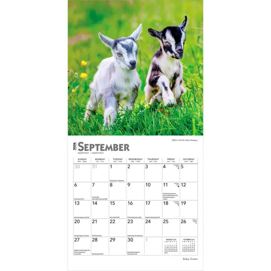 Baby Goats | 2026 7 x 14 Inch (Hanging) Monthly Mini Wall Calendar {4}