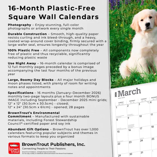Golden Retriever Puppies | 2026 12 x 24 Inch (Hanging) Monthly Square Wall Calendar | Plastic-Free {6}