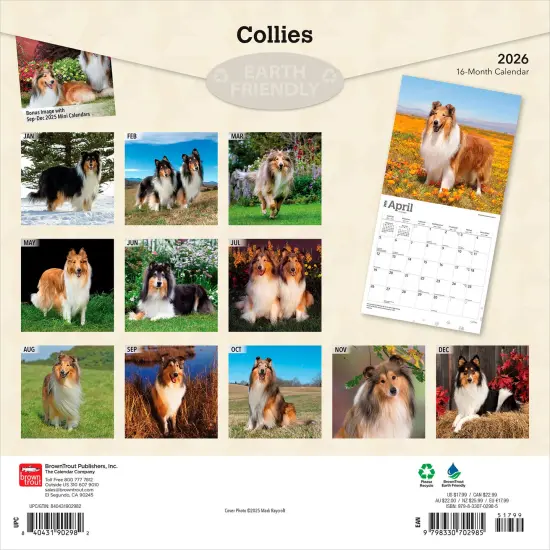 Collies | 2026 12 x 24 Inch (Hanging) Monthly Square Wall Calendar | Plastic-Free {2}