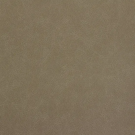 Richloom GREYSTONE- Faux Leather Sienna {7}