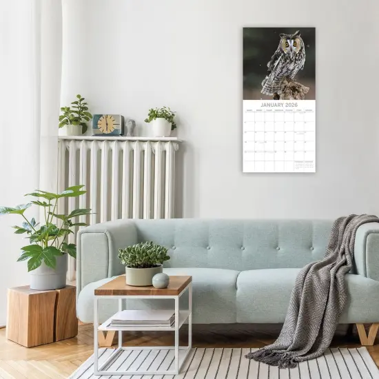 The Gifted Stationary 2026 Square Wall Calendar, Owls, 16-Month Animals Theme Hanging Calendar with 180 Reminder Stickers, Month Planner for Home, Creative Spaces, 12x12 In Multicolor {2}