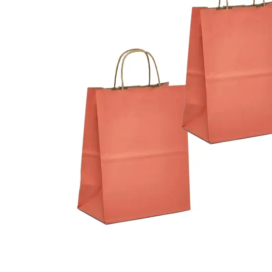 Kraft Shopping Bag Tinted and Spacious 5.5" x 3.25" x 8.375" {5}