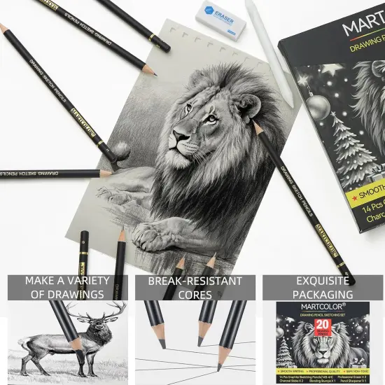 Drawing Sketching Pencil Set, 20 Pieces, Graphite Pencils (14B-4H), Charcoal Sticks, Stump, Eraser, Sharpeners, Ideal for Drawing Art, Sketching, Artist Pencils for Beginners & Pro Artists {3}