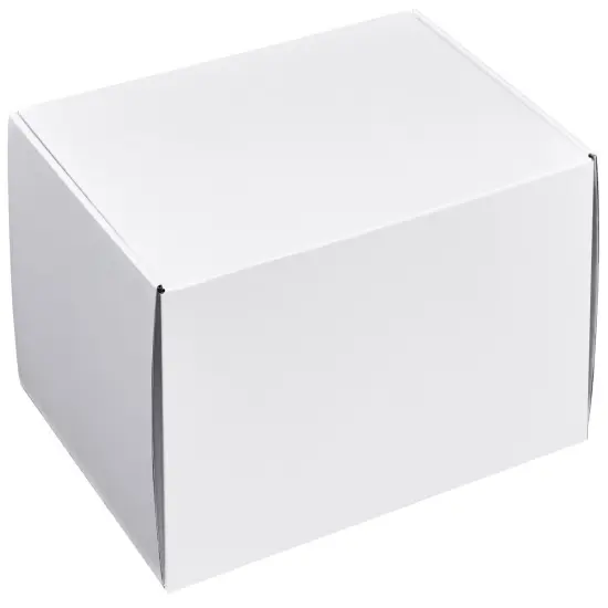 Pack/6: White Decorative Mailer - 12 x 9 x 5" {1}