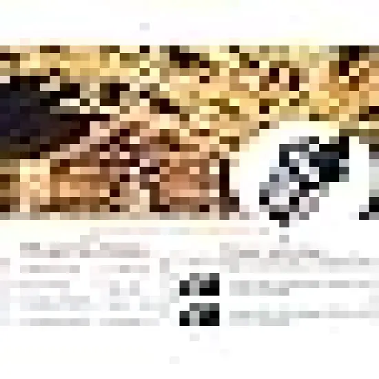 Waterproof Fairy Twinkle Lights for Christmas Party {5}