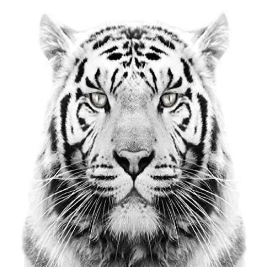 White Tiger Edible Cake Topper-1/4 Sheet {1}