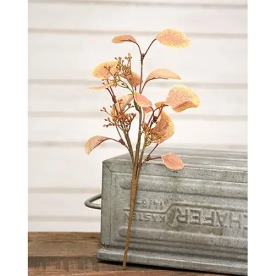14" High Fall Eucalyptus and Buds Pick with Brown Paper-Wrapped Stem {2}