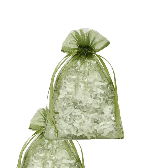 Elegant 6&rdquo; x 9&rdquo; Organza Bags Ideal for Special Gifts {5}