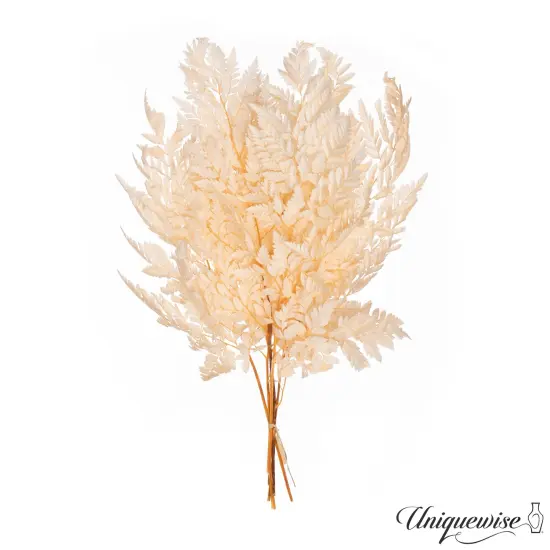 Uniquewise Preserved Real Floral Stems Chic Vase Fillers & Accents for Bouquets Centerpieces & Ornamental Displays Ideal for Home Office Boutique Cafe Resto Bar and Event Decor Orange alpine fern {2}